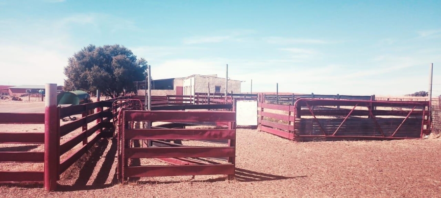 3 Bedroom Property for Sale in Bainsvlei Free State